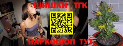 индика Ликино-Дулёво