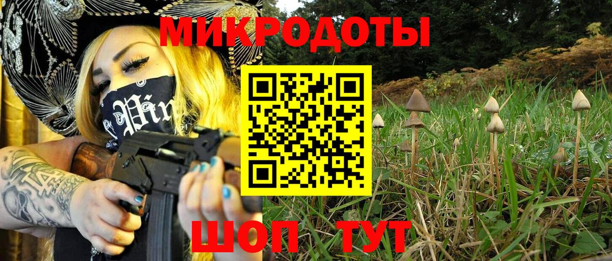 Галлюциногенные грибы ЛСД Чебаркуль