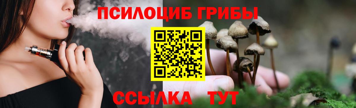 Псилоцибиновые грибы Magic Shrooms  Псилоцибиновые грибы Psilocybine cubensis  Чебаркуль  Вход с VPN 